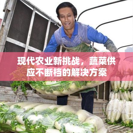 现代农业新挑战，蔬菜供应不断档的解决方案