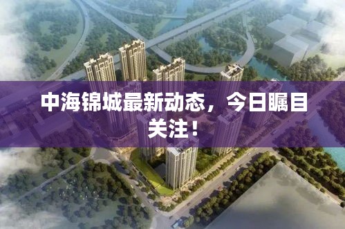 中海锦城最新动态，今日瞩目关注！