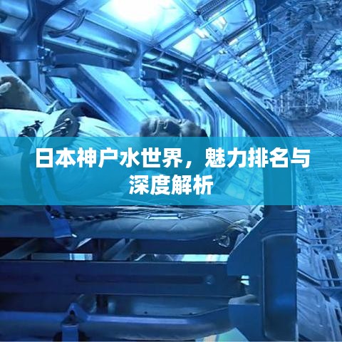 日本神户水世界，魅力排名与深度解析