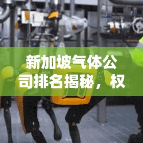 新加坡气体公司排名揭秘，权威榜单揭晓，谁居榜首？