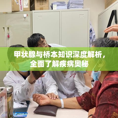 甲状腺与桥本知识深度解析，全面了解疾病奥秘