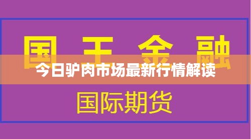 今日驴肉市场最新行情解读