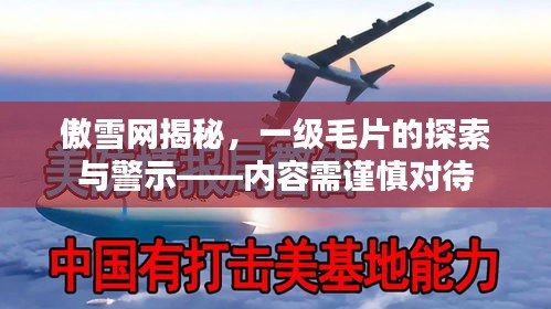 傲雪网揭秘，一级毛片的探索与警示——内容需谨慎对待