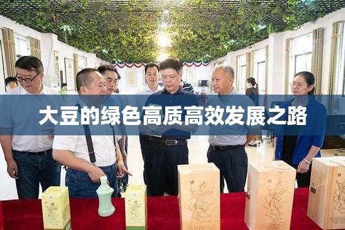 大豆的绿色高质高效发展之路