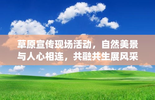 草原宣传现场活动，自然美景与人心相连，共融共生展风采