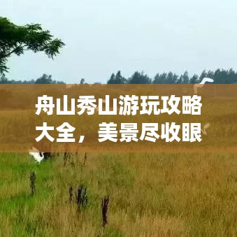 舟山秀山游玩攻略大全，美景尽收眼底！