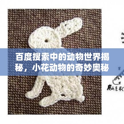 百度搜索中的动物世界揭秘，小花动物的奇妙奥秘探索