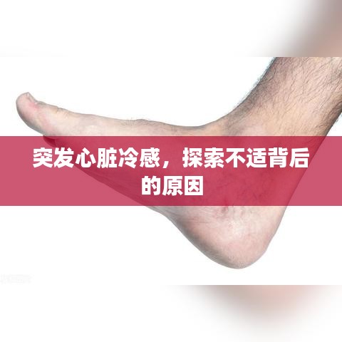 2025年5月27日 第2页