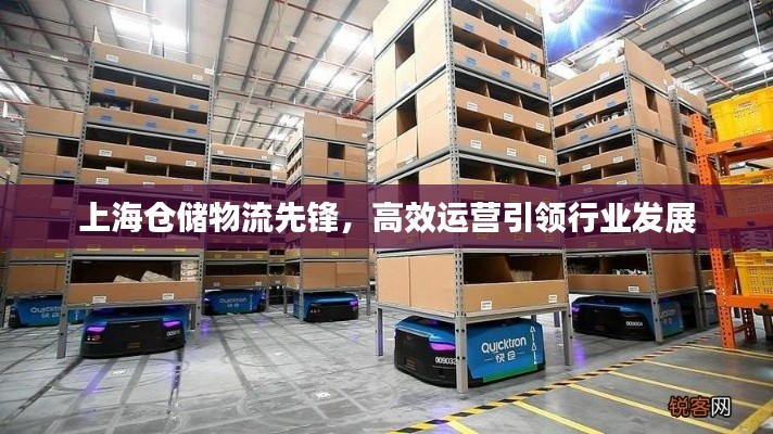 上海仓储物流先锋，高效运营引领行业发展