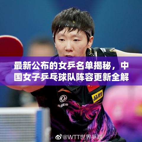 最新公布的女乒名单揭秘，中国女子乒乓球队阵容更新全解析