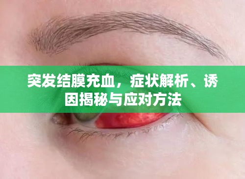 突发结膜充血，症状解析、诱因揭秘与应对方法