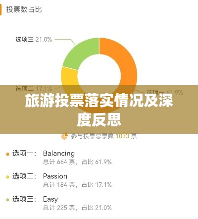 旅游投票落实情况及深度反思