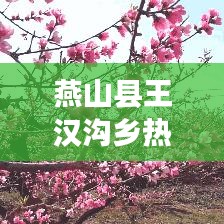 燕山县王汉沟乡热点新闻速递