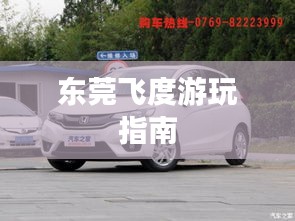 东莞飞度游玩指南