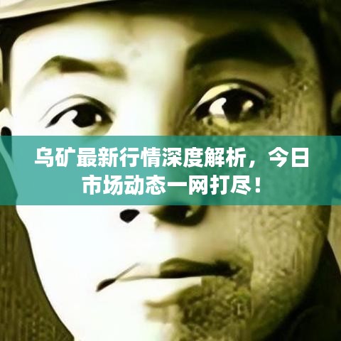 乌矿最新行情深度解析，今日市场动态一网打尽！