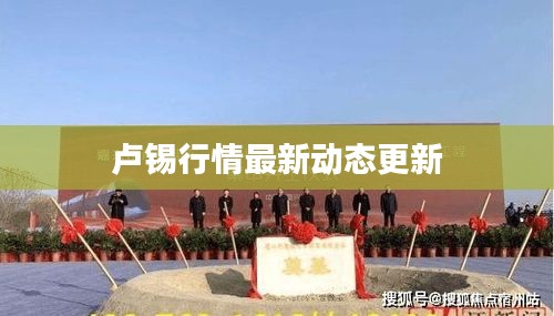 卢锡行情最新动态更新