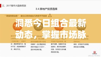 洞悉今日组合最新动态，掌握市场脉搏，投资先机不容错过