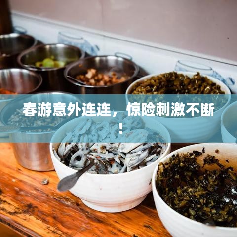 春游意外连连，惊险刺激不断！