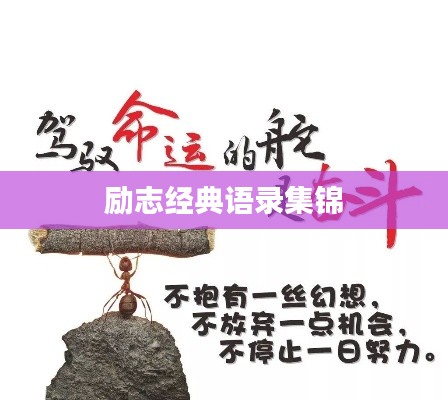 励志经典语录集锦