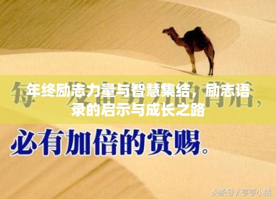 年终励志力量与智慧集结，励志语录的启示与成长之路