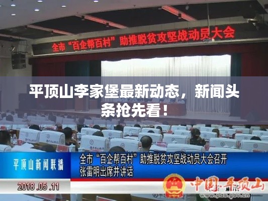 平顶山李家堡最新动态，新闻头条抢先看！
