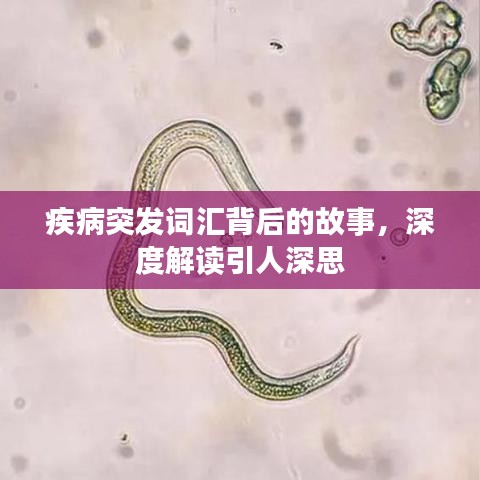疾病突发词汇背后的故事，深度解读引人深思