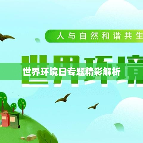 世界环境日专题精彩解析