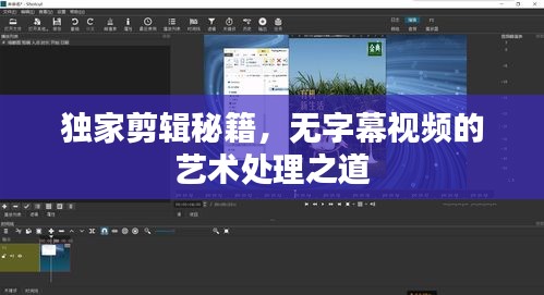 独家剪辑秘籍，无字幕视频的艺术处理之道