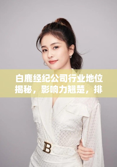 白鹿经纪公司行业地位揭秘，影响力翘楚，排名解析