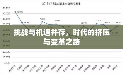 挑战与机遇并存，时代的挤压与变革之路
