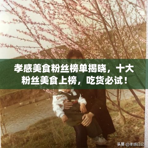 孝感美食粉丝榜单揭晓，十大粉丝美食上榜，吃货必试！