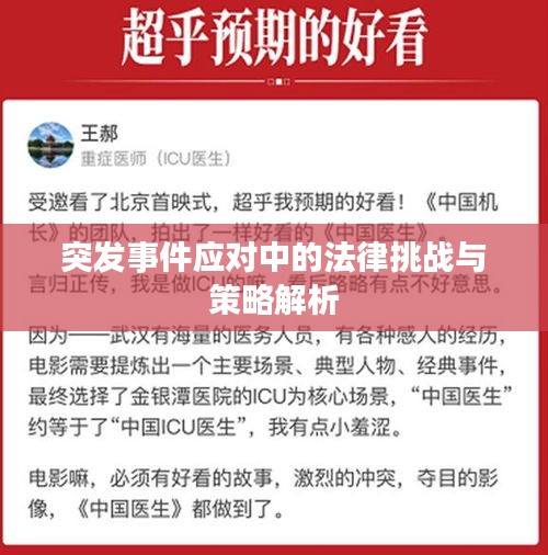 突发事件应对中的法律挑战与策略解析