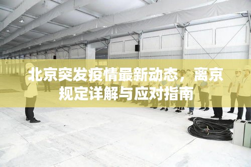 北京突发疫情最新动态，离京规定详解与应对指南
