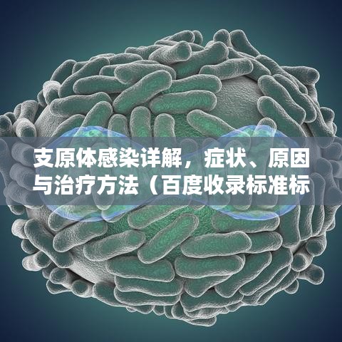 支原体感染详解，症状、原因与治疗方法（百度收录标准标题）