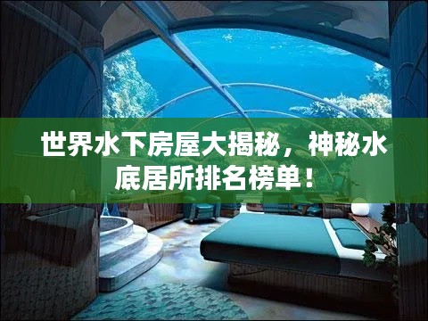 2025年6月12日 第4页