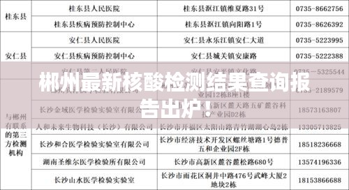 郴州最新核酸检测结果查询报告出炉！