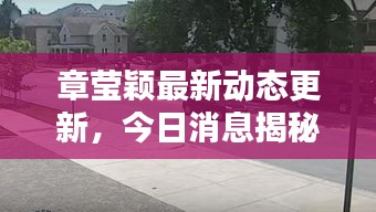 章莹颖最新动态更新，今日消息揭秘！