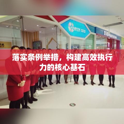 落实条例举措，构建高效执行力的核心基石