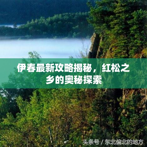 伊春最新攻略揭秘，红松之乡的奥秘探索