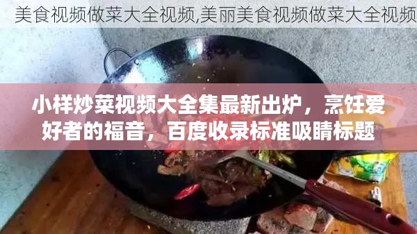 小样炒菜视频大全集最新出炉，烹饪爱好者的福音，百度收录标准吸睛标题