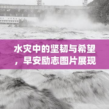 水灾中的坚韧与希望，早安励志图片展现生命力量