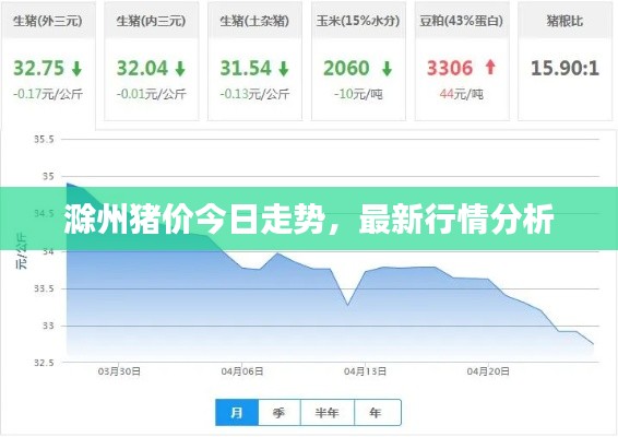 滁州猪价今日走势，最新行情分析