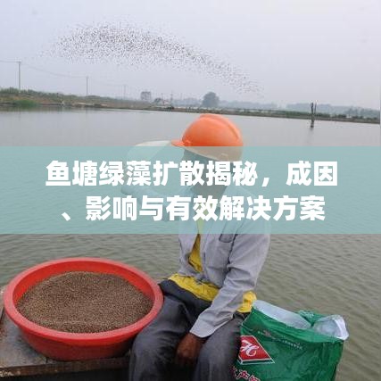 鱼塘绿藻扩散揭秘，成因、影响与有效解决方案