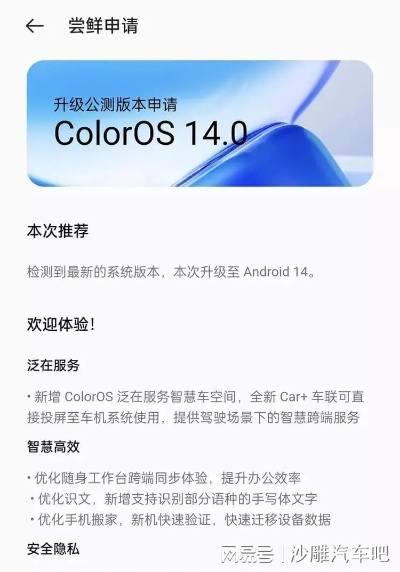 oppo版本号,状况评估解析说明_网页版1_v3.330