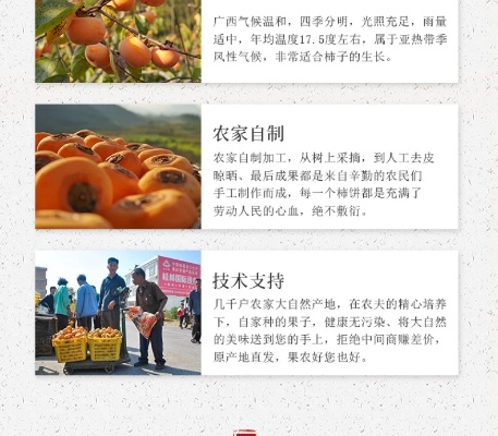 小柿饼下载官方,先进技术执行分析_标配版_v1.147