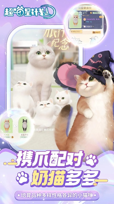 2025年11月6日 第7页