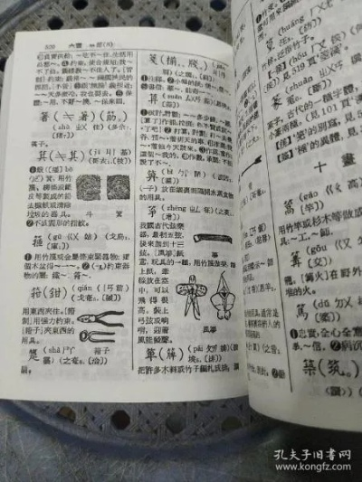 核心功能清单，新潮汕字典下载官方，快速实施解答策略精装版_v9.612