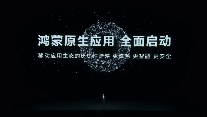 谁是赢家 官方下载,实地策略验证计划_HarmonyOS_v7.594