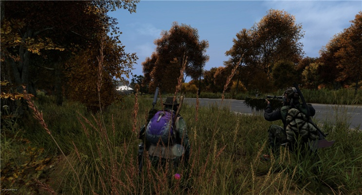 dayzmod单机版和zui官方下载2.5,快速响应计划分析&QHD_v3.817
