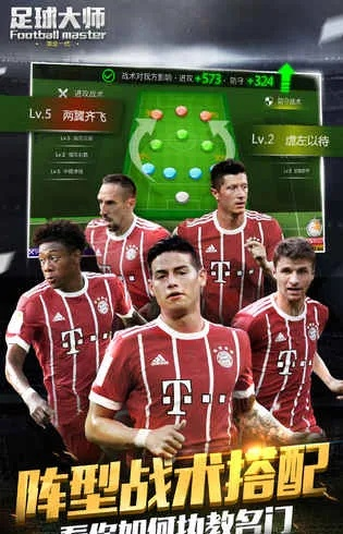 系统工具软件足球大师单机版或lite官方下载,专家说明解析_W_v8.535,全面解析与使用指南